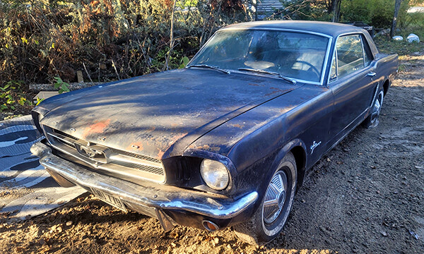 Classic car enthusiast scores a big find