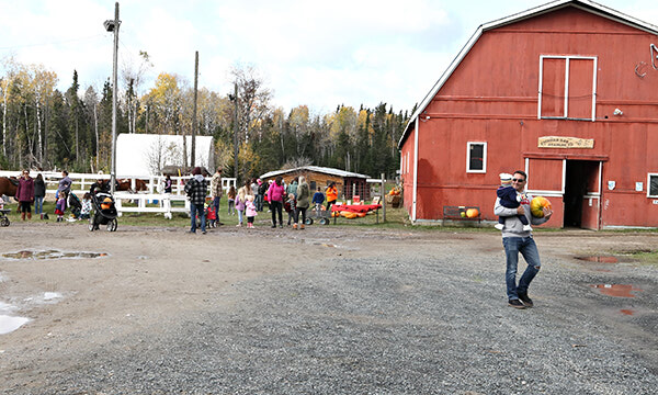 Pumpkin sale and fall frolic