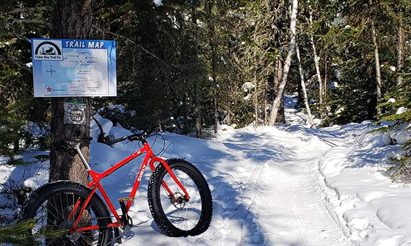 Increased use of Cedar Bay trail during pandemic 