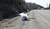 Community members take part in a past community clean-up. - Bulletin File Photo