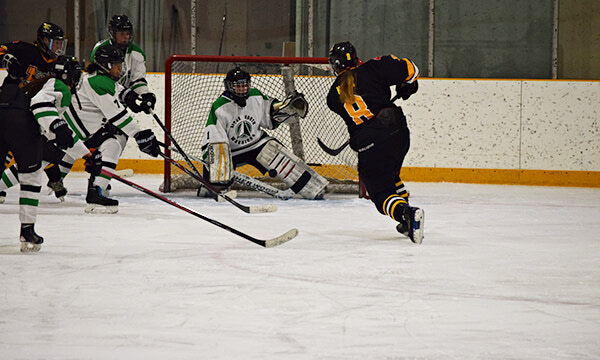 Warriors Girls Hockey