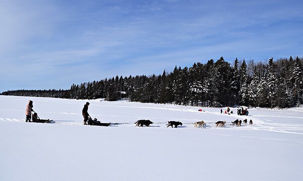 Jesse Terry preparing for big dog sled season