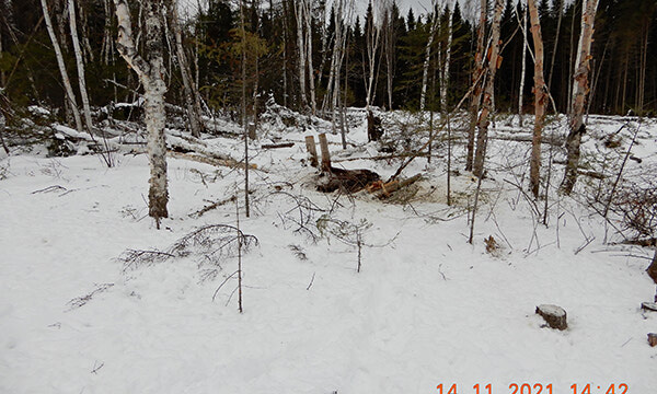 NDMNRF REPORT - NDMNRF Conservation Officers Need Help Identifying Bull Moose Poacher