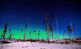 A shot of the northern lights captured on January 27, on Alcona drive. - Justin Stevens/Submitted Photo