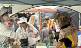 Visitors to the Third Annual Sioux Lookout Renaissance Fair were able to browse the wares of a variety  of vendors and take in sword demos put on by Superior HEMA.     Tim Brody / Bulletin Photo