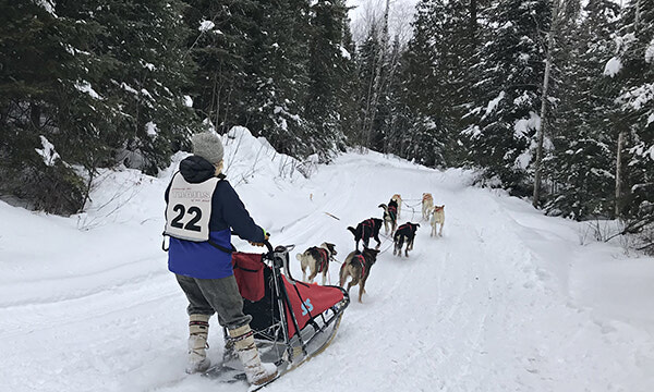 Rookie racer has successful, fun experience at Gunflint Mail Run