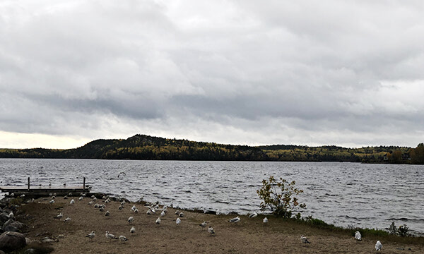 September a wet month in Sioux Lookout