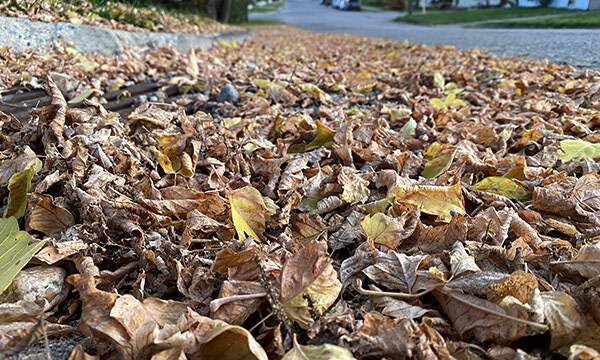 Fall in Sioux Lookout