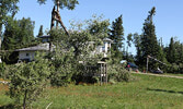 Damage to a property on Drayton Road.     Tim Brody / Bulletin Photo