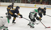 The SNHS Warriors girls hockey team in action against the DHS Eagles in game two of their best of three semi-final playoff series.   Tim Brody / Bulletin Photo