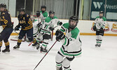 The SNHS Warriors girls hockey team in action against the DHS Eagles in game two of their best of three semi-final playoff series.   Tim Brody / Bulletin Photo