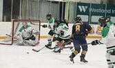 The SNHS Warriors girls hockey team in action against the DHS Eagles in game two of their best of three semi-final playoff series.   Tim Brody / Bulletin Photo